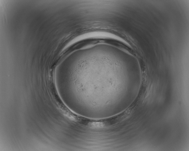 X0000080790361200612151501