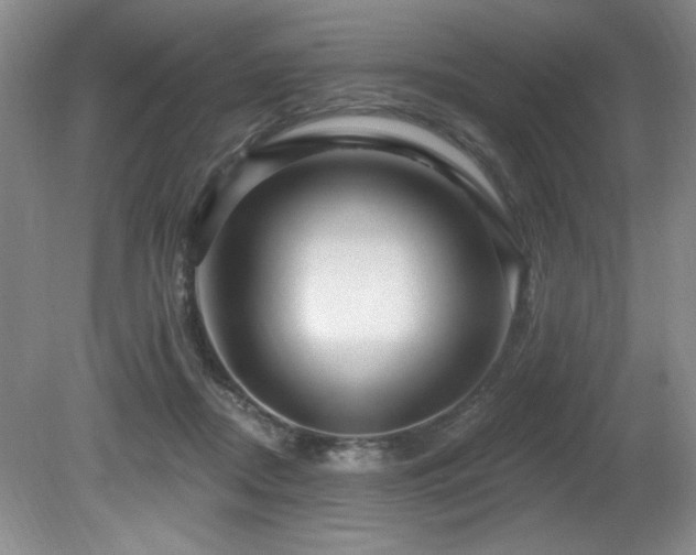 X0000080790362200612151501