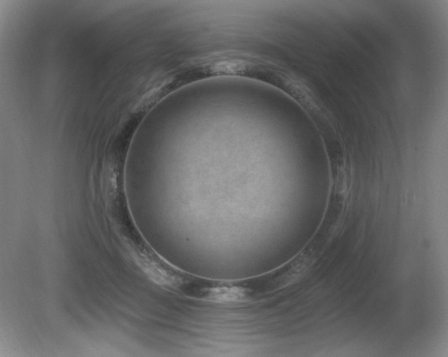 X0000080790363200612151501