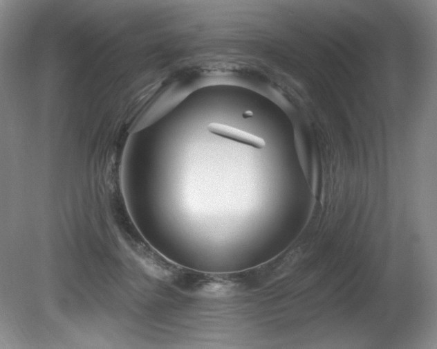 X0000080790364200612151501