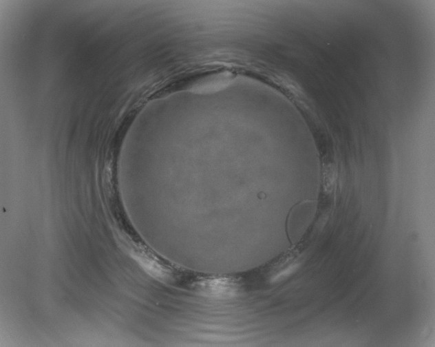 X0000080790365200612151501