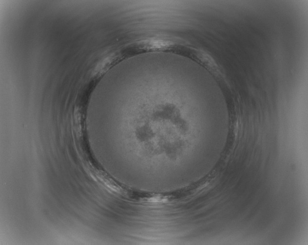 X0000080790366200612151501