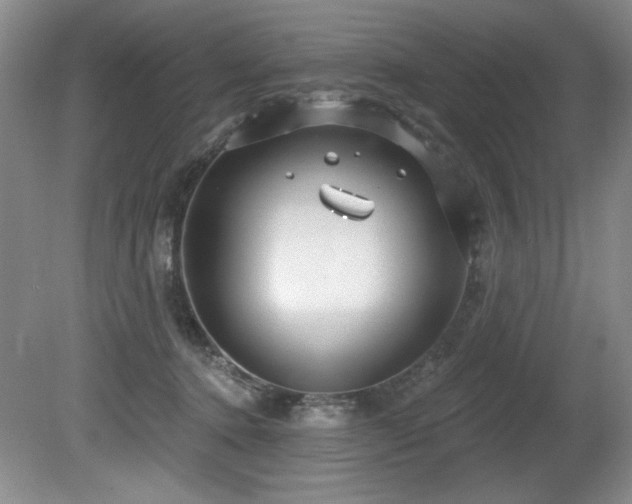 X0000080790368200612151501