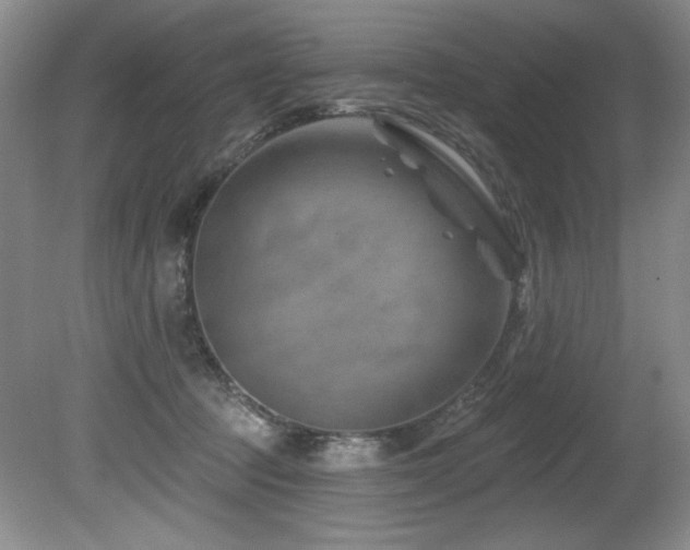 X0000080790369200612151501