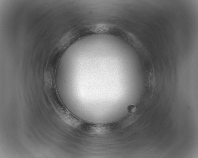 X0000080790370200612151501