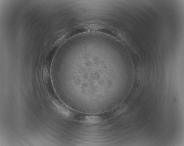 X0000080790371200612151501