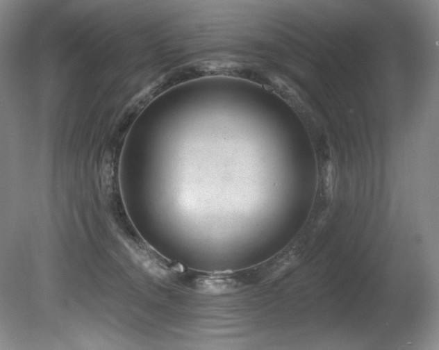 X0000080790372200612151501