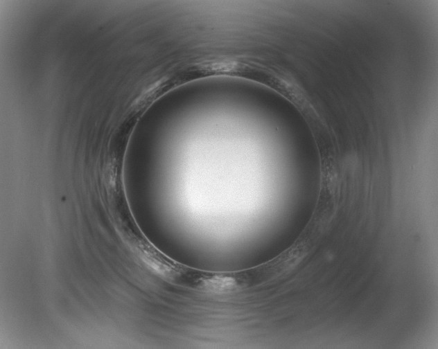 X0000080790374200612151501