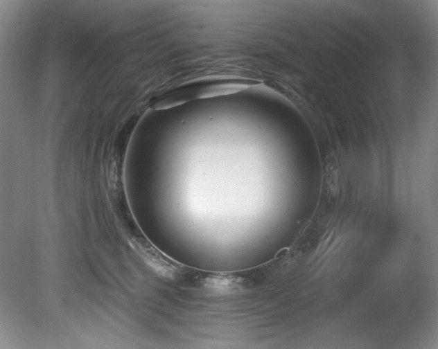X0000080790375200612151501