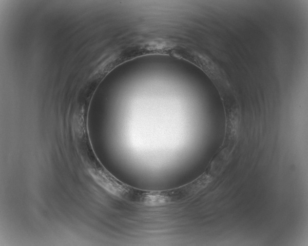 X0000080790376200612151501