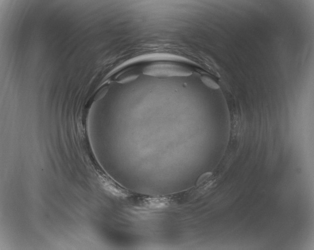 X0000080790377200612151501