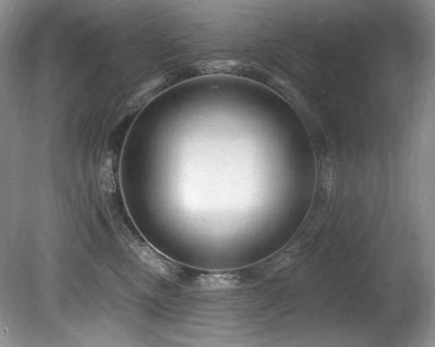 X0000080790378200612151501