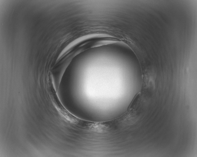 X0000080790379200612151501
