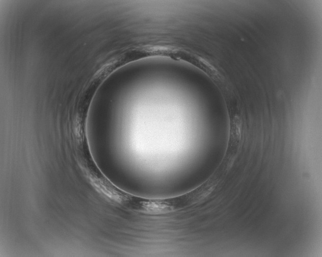 X0000080790380200612151501