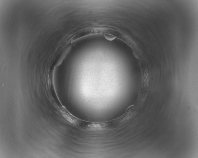 X0000080790381200612151501