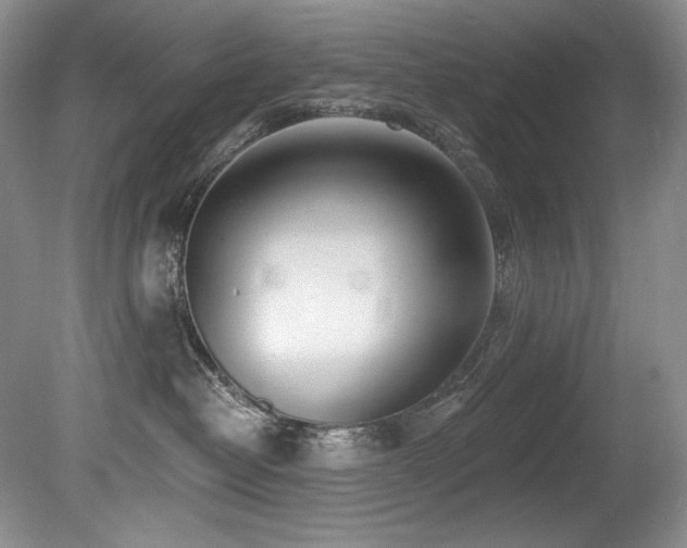 X0000080790382200612151501