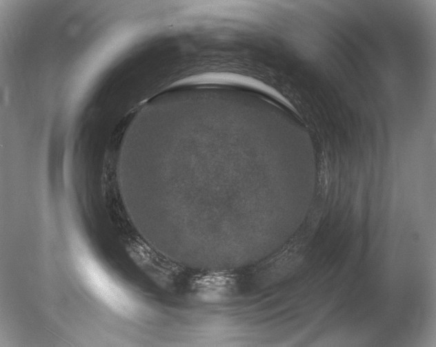 X0000080790383200612151501