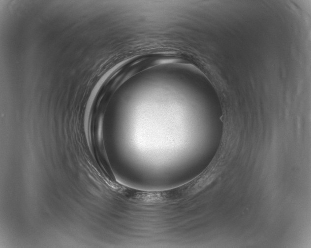 X0000080790384200612151501