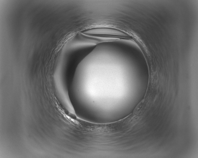 X0000080790385200612151500