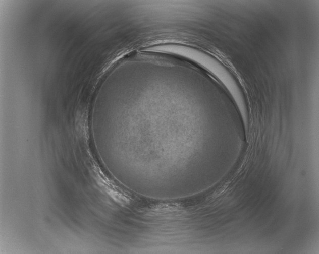 X0000080790386200612151500