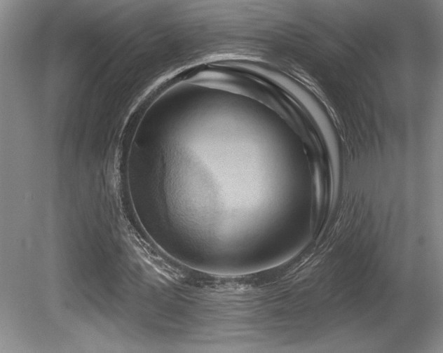 X0000080790387200612151500