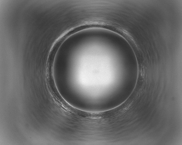 X0000080790388200612151500