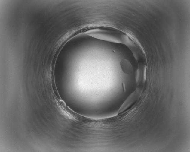 X0000080790389200612151500
