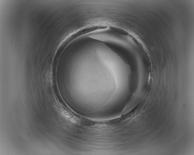 X0000080790391200612151500