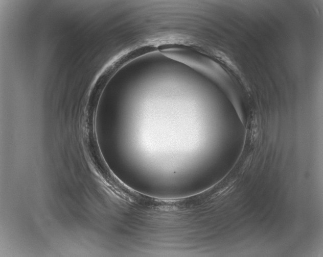 X0000080790392200612151500