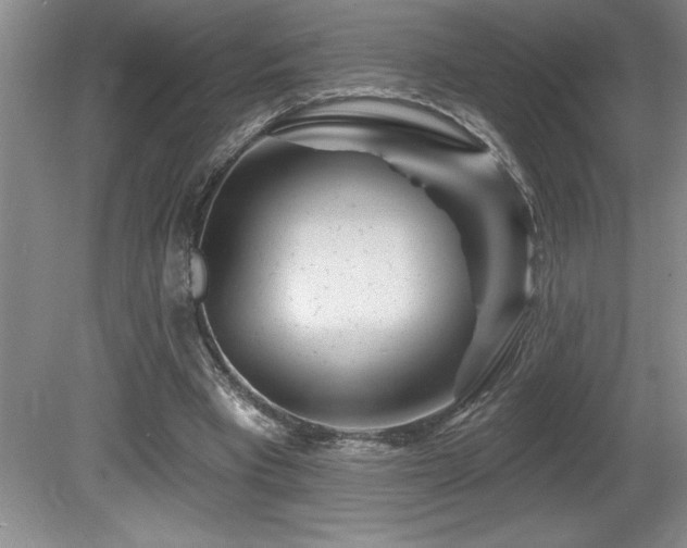 X0000080790393200612151500