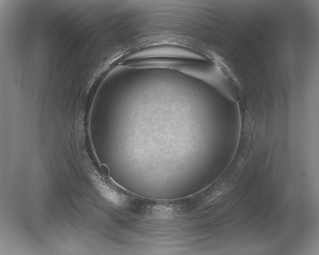 X0000080790394200612151500