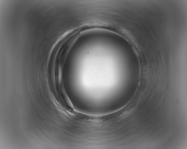 X0000080790395200612151500