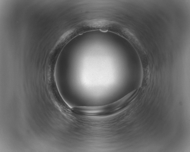 X0000080790400200612151500