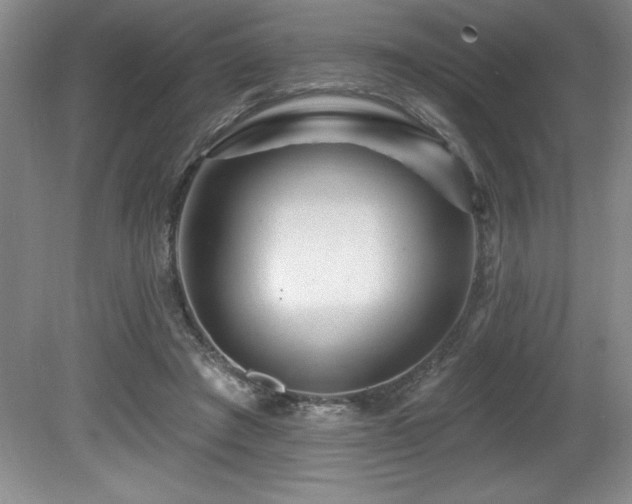X0000080790401200612151500