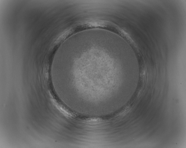 X0000080790402200612151500