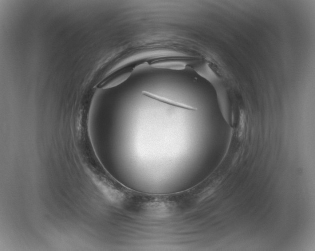 X0000080790404200612151500