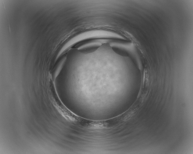 X0000080790405200612151500