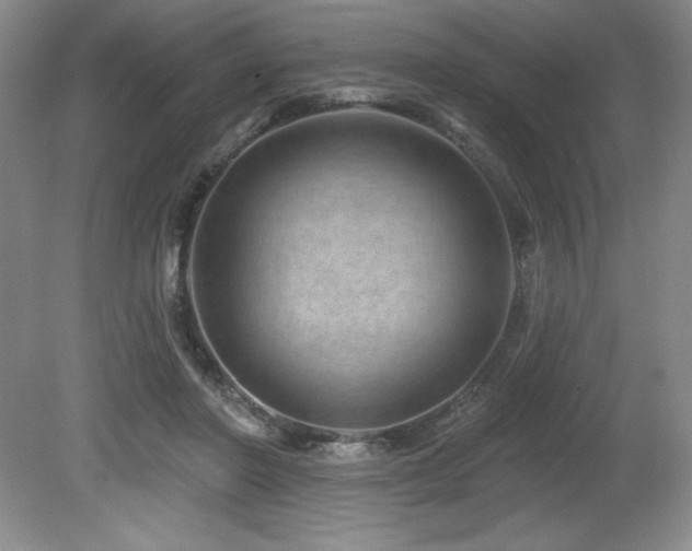 X0000080790406200612151500