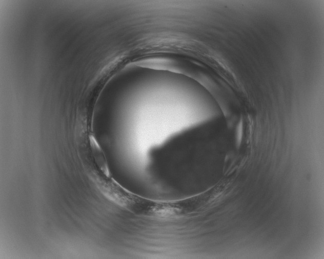 X0000080790407200612151500