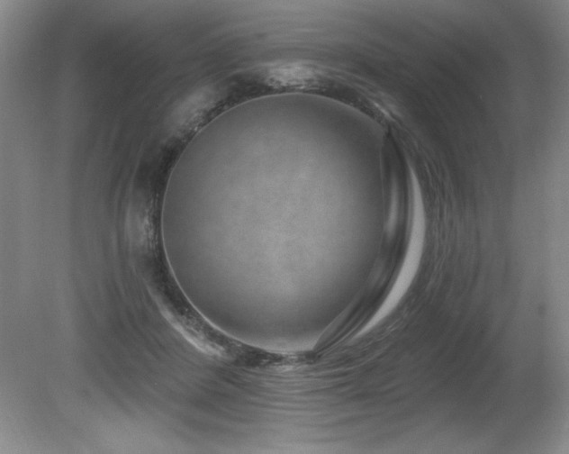 X0000080790408200612151500