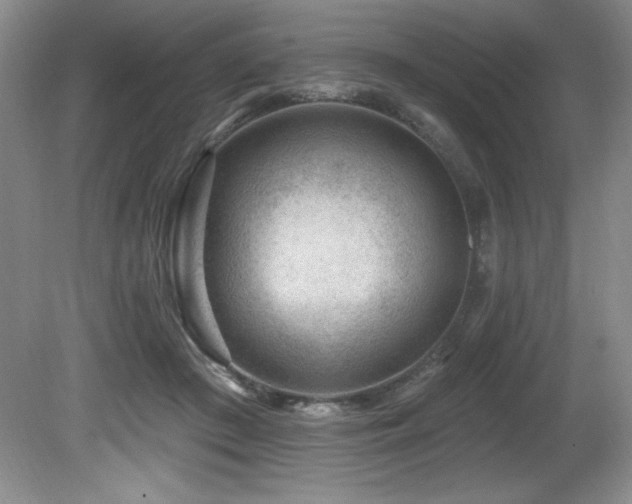 X0000080790409200612151500
