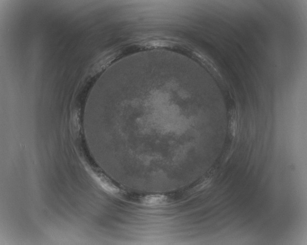 X0000080790410200612151500