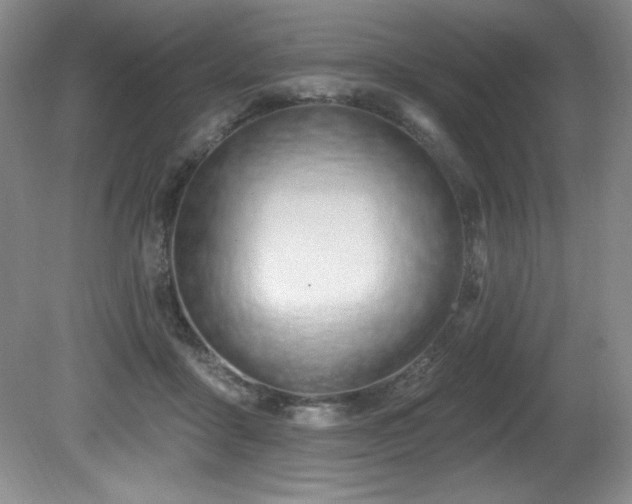 X0000080790411200612151500
