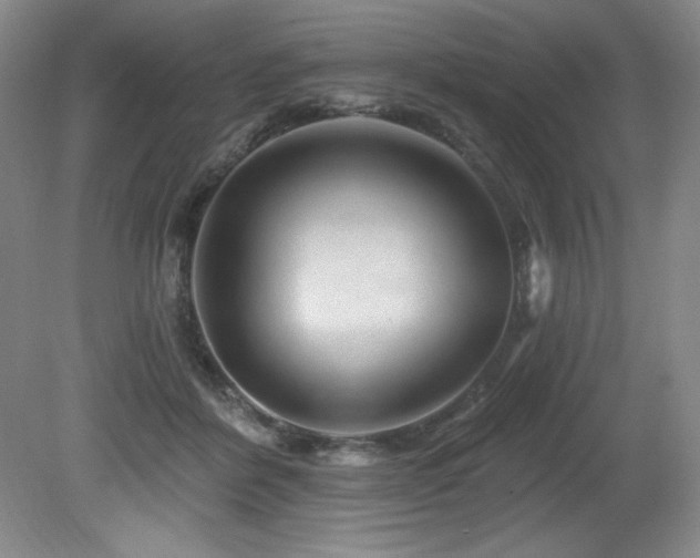 X0000080790412200612151500