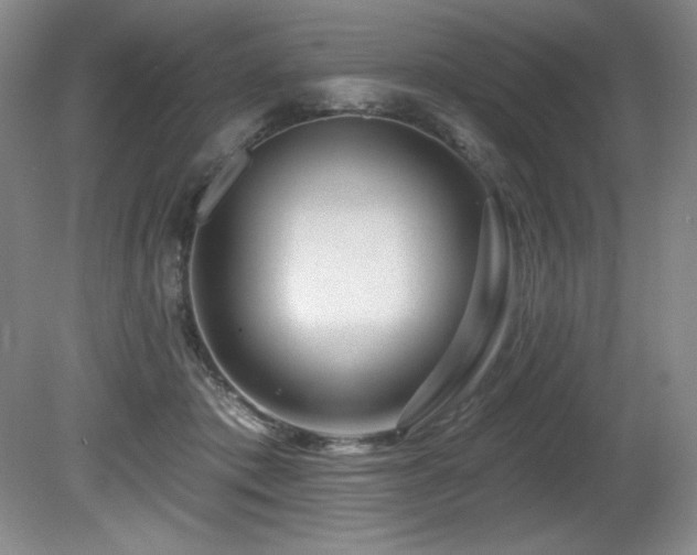 X0000080790413200612151500
