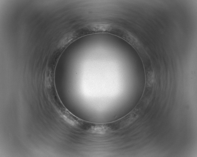 X0000080790414200612151500