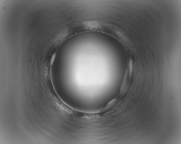 X0000080790417200612151500