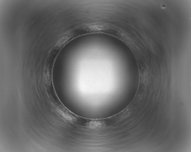 X0000080790418200612151500