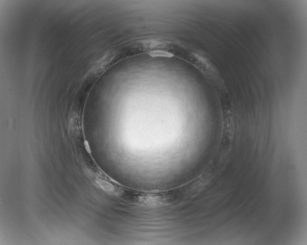X0000080790419200612151500