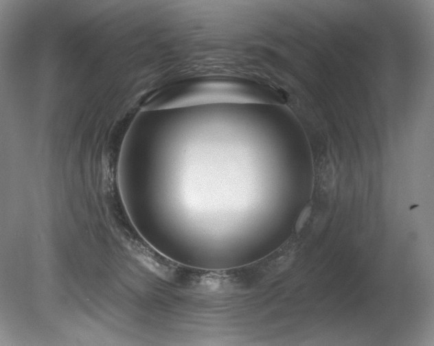 X0000080790420200612151500